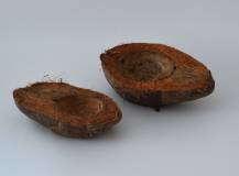 Aranžovací kokos - půlený