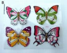 Barevní fólioví motýlci