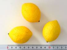 Citron umělý 1 ks