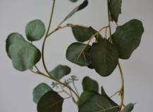 Girlanda - Eucalyptus 190 cm