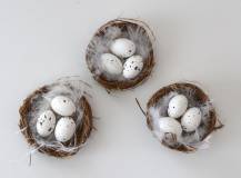 Hnízdo s 3 vajíčky