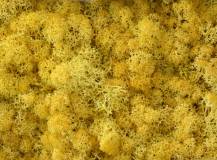 ISLAND MOOS EXTRA YELLOW