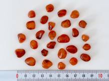 Karneol MALÝ MIX bal. 30g