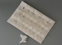 Motýlek s klipem 5 cm - vzor 1