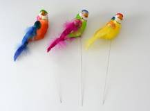 Papoušek barevný na drátku