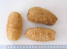 Peeling - LUFFA DLOUHÁ do mýdel - TMAVÁ
