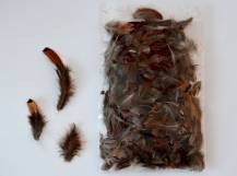 Peříčka tmavá bal. 10g