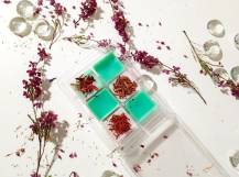 Plastový blistr/krabička s víčkem PET na vonné vosky