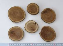 Přírodní dřevěný plátek prům. 6 - 8 cm