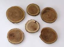 Přírodní dřevěný plátek prům. 6 - 8 cm