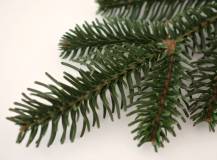 Přízdoba - Větvička jehličí MALÁ