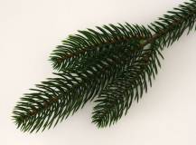 Přízdoba - Větvička jehličnanu