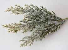 Přízdoba - větvička Zasněžená thuja