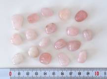 Růženín STŘEDNÍ MIX bal. 50g
