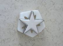 Silikonová forma - Hvězda prům. 88 x 25 mm
