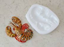 Silikonová forma - Štír reliéf 90 x 65 mm