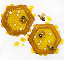 Silikonová forma - Včelí plástev se třemi včelkami