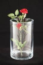 Skleněná váza na květiny i dekorace - Válec 19,5 cm
