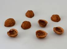 Skořápky z ořechů pro dekorace a aranžování 10 ks