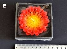 Svíčka květ průměr 8 cm