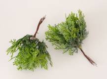 Thuja na drátku 6 ks