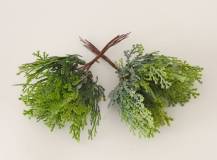 Thuja na drátku 6 ks