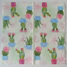 Ubrousek - Květiny - Kaktus kvetoucí