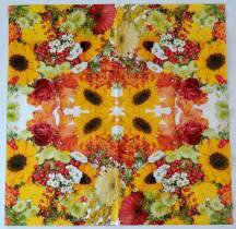 Ubrousek - Květiny - Podzimní slunečnice