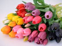Umělá kytice - Tulipány 5 ks