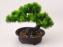 Umělé květiny - Bonsai BOROVICE v květináči