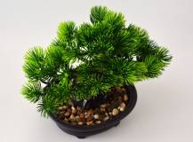 Umělé květiny - Bonsai BOROVICE v květináči