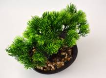 Umělé květiny - Bonsai BOROVICE v květináči