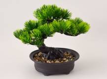Umělé květiny - Bonsai BOROVICE v květináči