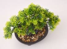 Umělé květiny - Bonsai CEDR v květináči
