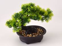 Umělé květiny - Bonsai CEDR v květináči