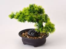 Umělé květiny - Bonsai CEDR v květináči