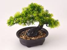 Umělé květiny - Bonsai CEDR v květináči