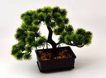 Umělé květiny - Bonsai MODŘÍN v květináči