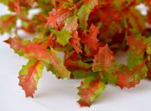 Umělé květiny - Cesmína rezavá