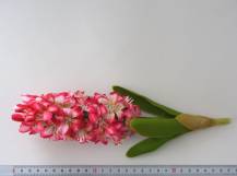 Umělé květiny - Hyacint
