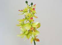 Umělé květiny - Mini orchidej s kořenem