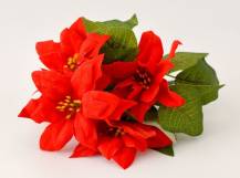 Umělé květiny - Poinsettia červená