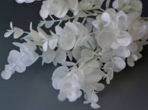 Umělé květy - Eukalyptus bílý