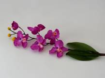 Umělé květy - Orchidej fialová