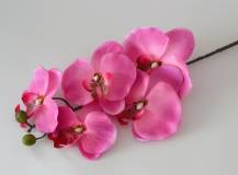 Umělé květy - Orchidej RŮŽOVÁ