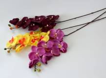 Umělé květy - Phalaenopsis
