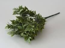 Umělé květy - Ruscus zelený