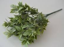 Umělé květy - Ruscus zelený