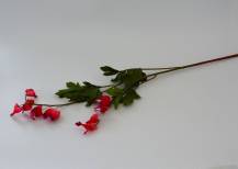 Umělé květy - Srdcovka