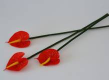 Umělý květ - Anturie červená 1 ks